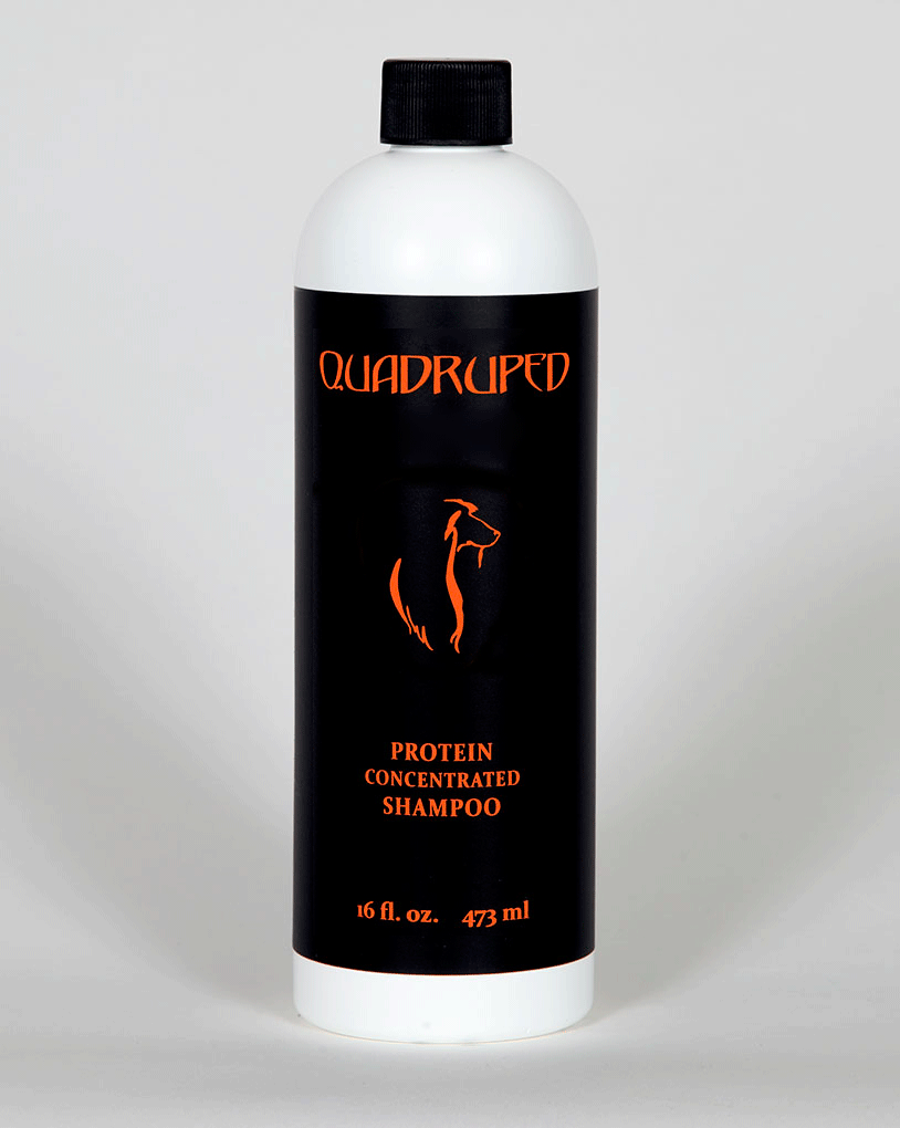 Quadruped Pet Care Protein Concentrated Shampoo
